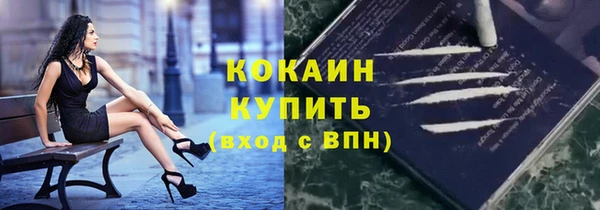 apvp Алексин