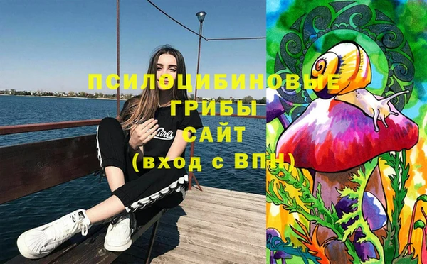 apvp Алексин