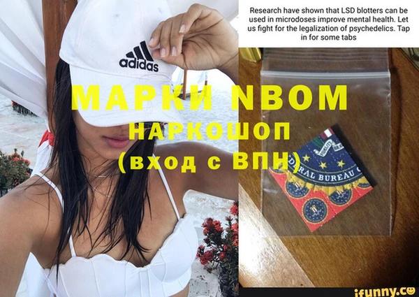 ГАЛЛЮЦИНОГЕННЫЕ ГРИБЫ Алзамай