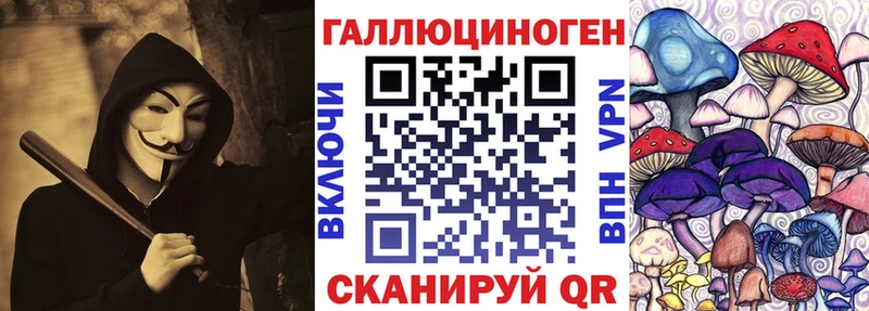 Псилоцибиновые грибы мухоморы где купить кракен tor Новокузнецк